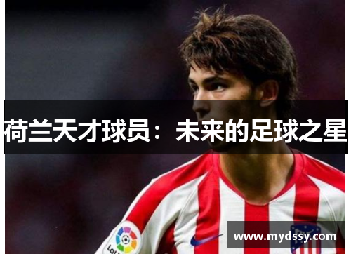 荷兰天才球员：未来的足球之星
